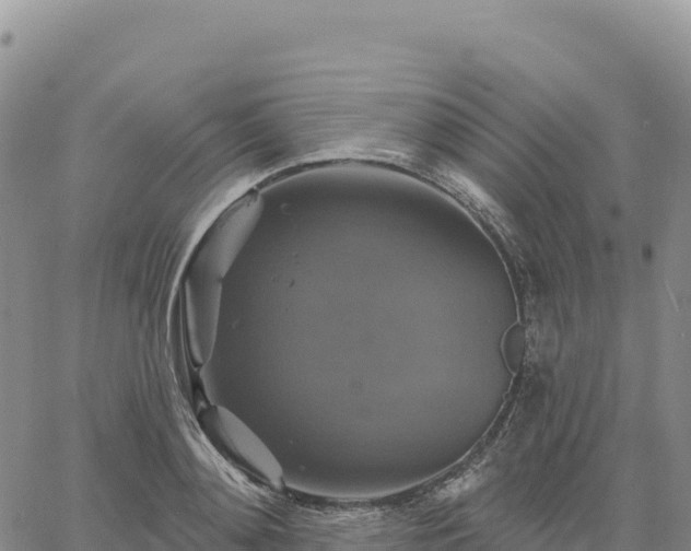 X0000061750892200512091633