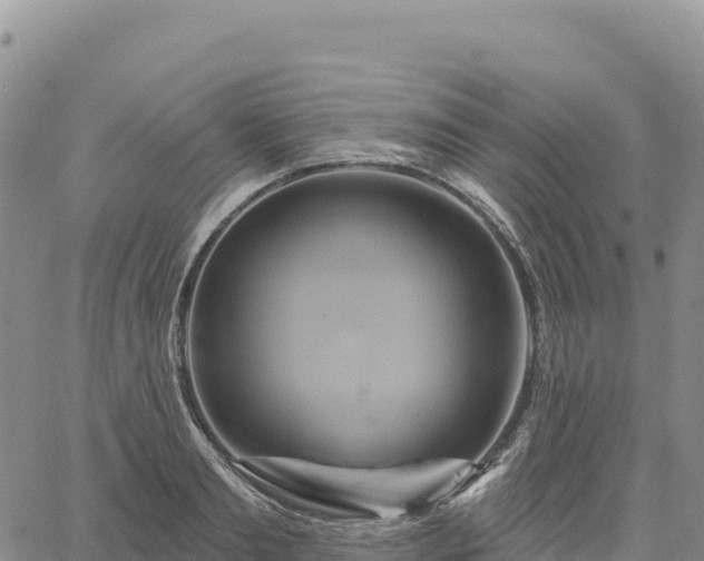 X0000061750893200512091633