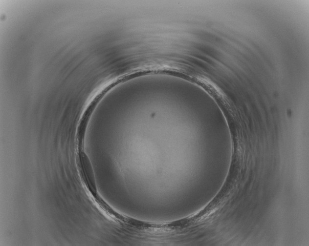 X0000061750894200512091633