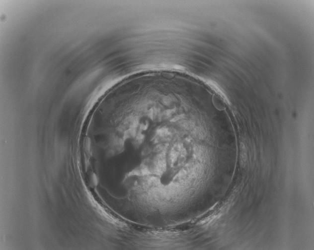 X0000061750895200512091633