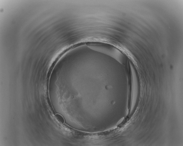 X0000061750896200512091633