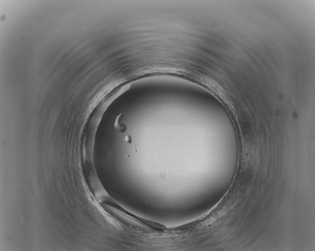 X0000061750898200512091633