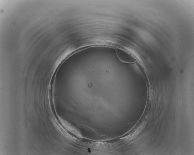 X0000061750899200512091633