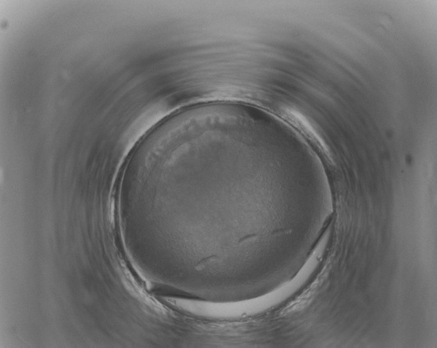 X0000061750900200512091633