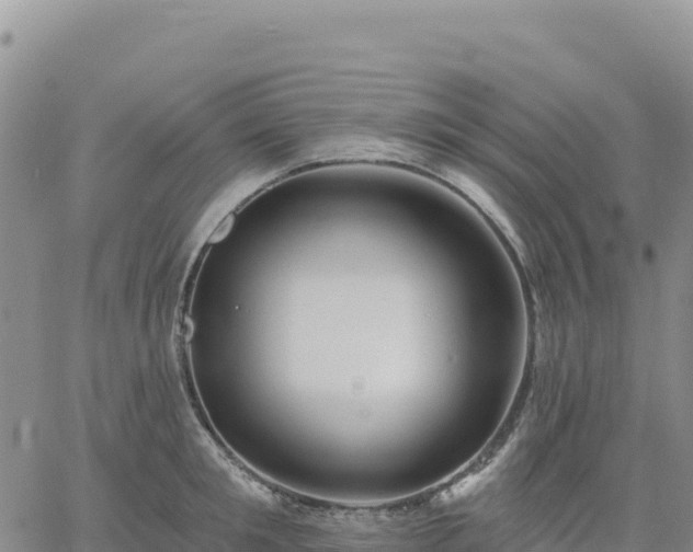 X0000061750901200512091633