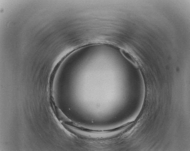 X0000061750902200512091633