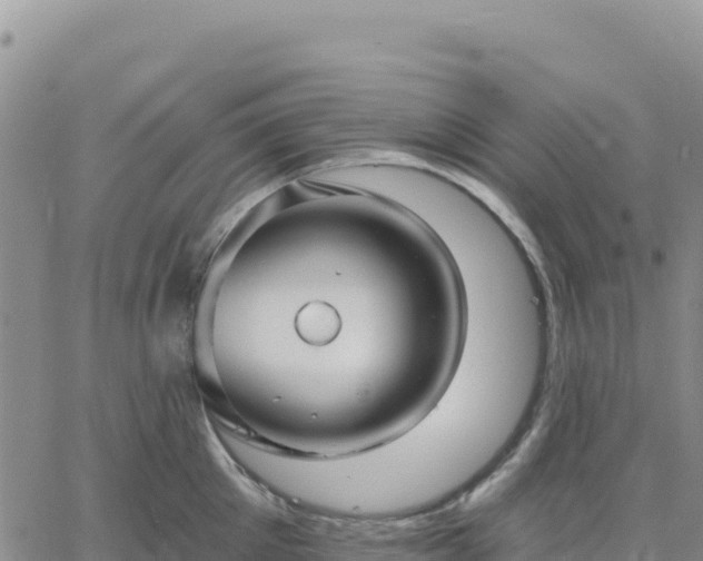 X0000061750905200512091633