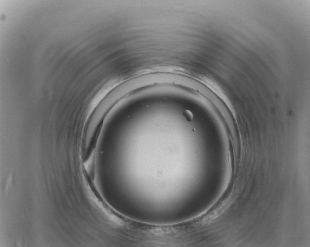 X0000061750906200512091633