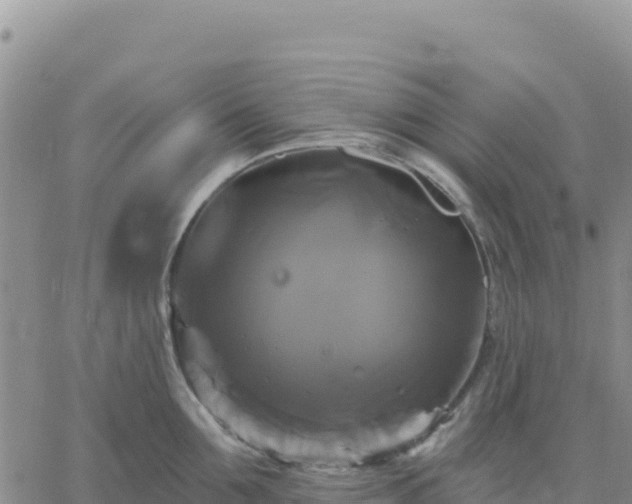 X0000061750907200512091632