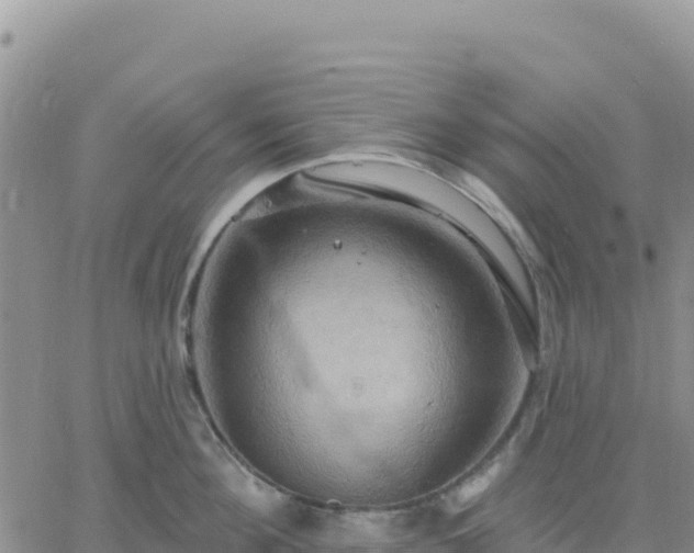 X0000061750908200512091632