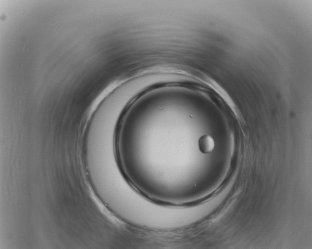 X0000061750909200512091632