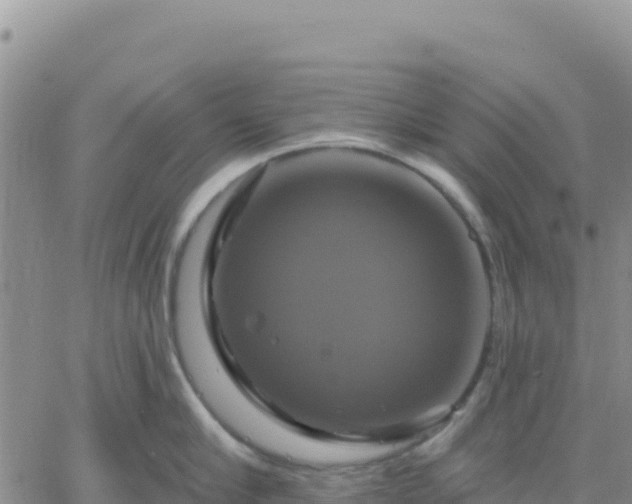 X0000061750910200512091632