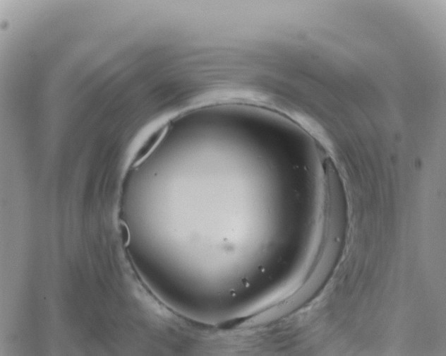 X0000061750912200512091632