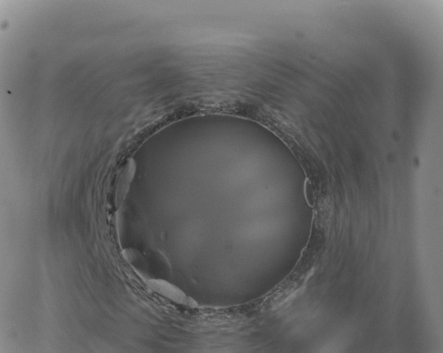 X0000061750913200512091632