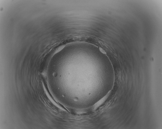 X0000061750914200512091632