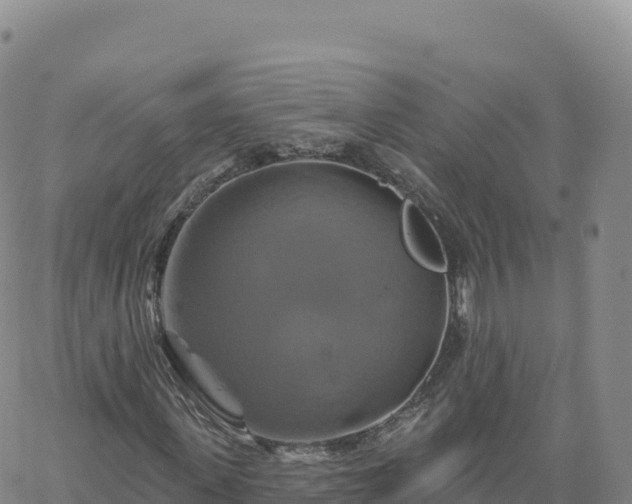 X0000061750915200512091632