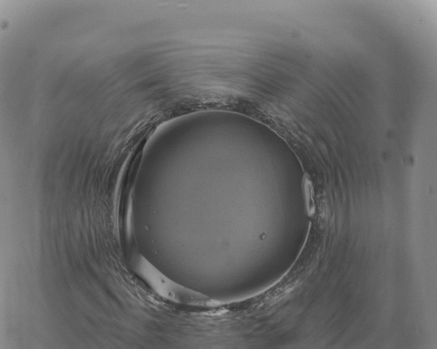 X0000061750916200512091632