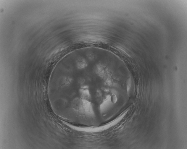 X0000061750917200512091632