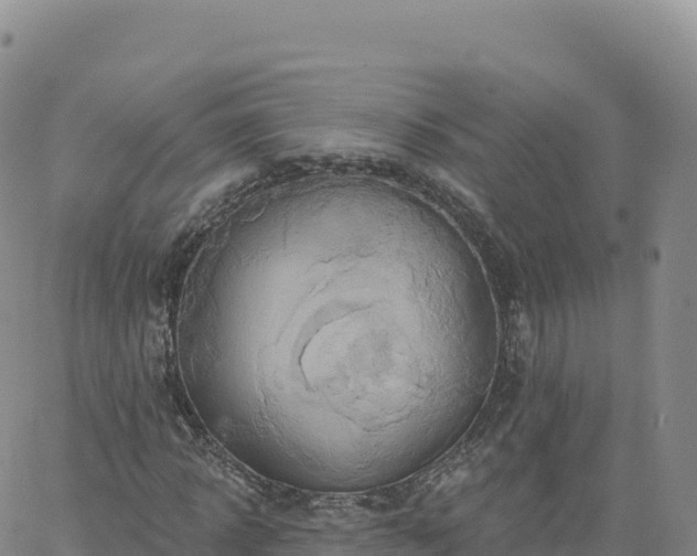 X0000061750918200512091632