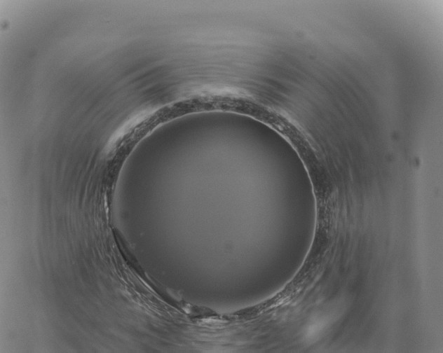 X0000061750919200512091632