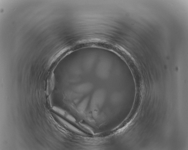 X0000061750921200512091632