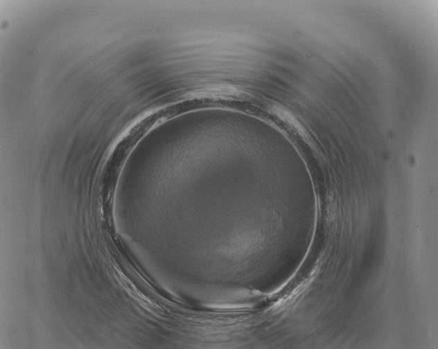 X0000061750923200512091632