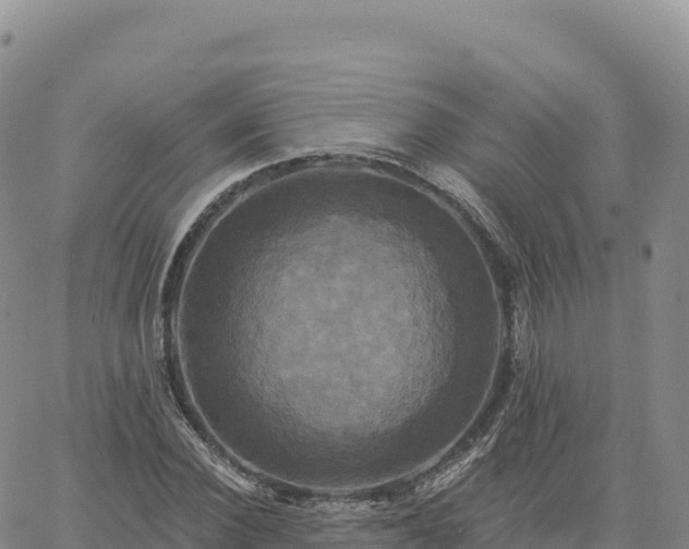 X0000061750924200512091632