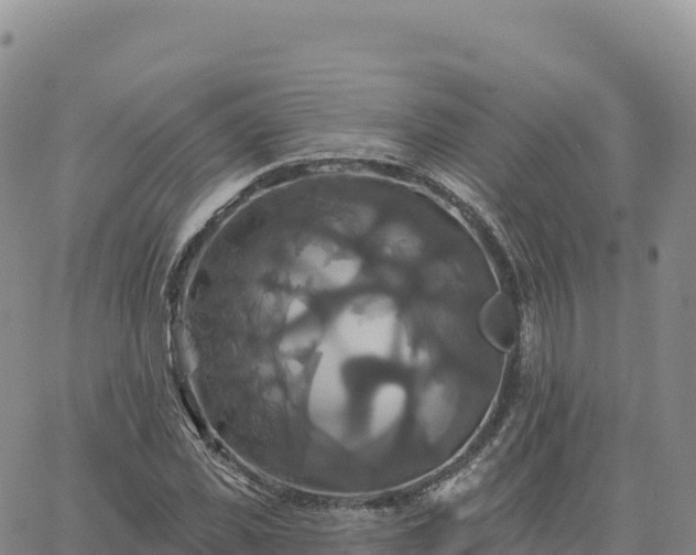 X0000061750925200512091632