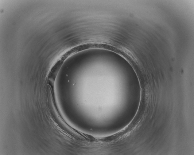 X0000061750926200512091632