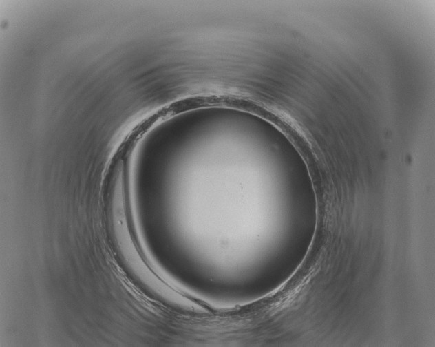 X0000061750927200512091632