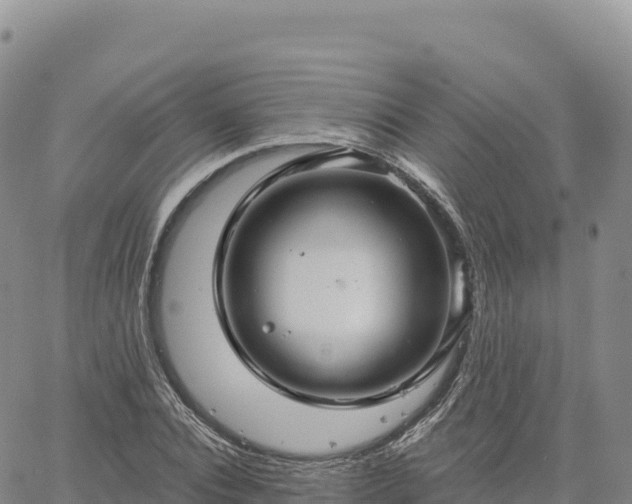 X0000061750928200512091632