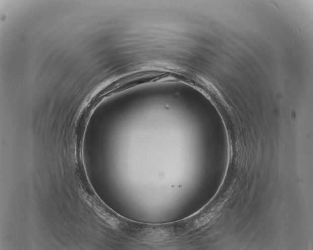 X0000061750931200512091632