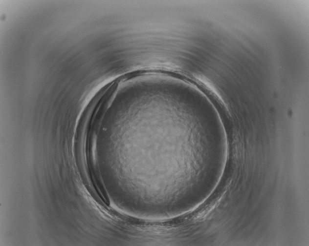 X0000061750932200512091632