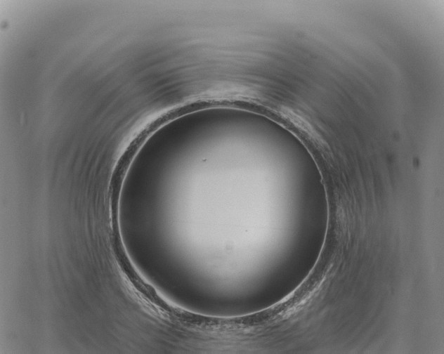 X0000061750934200512091632