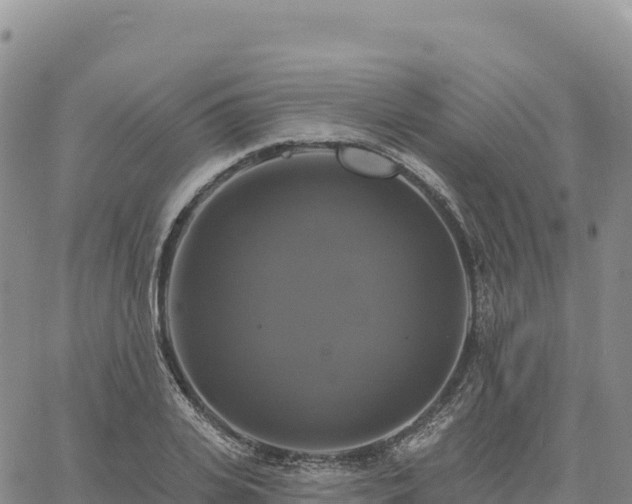 X0000061750935200512091632