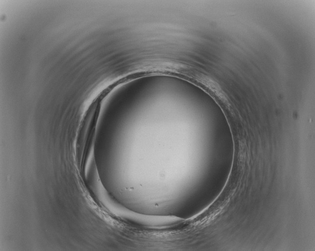 X0000061750936200512091632