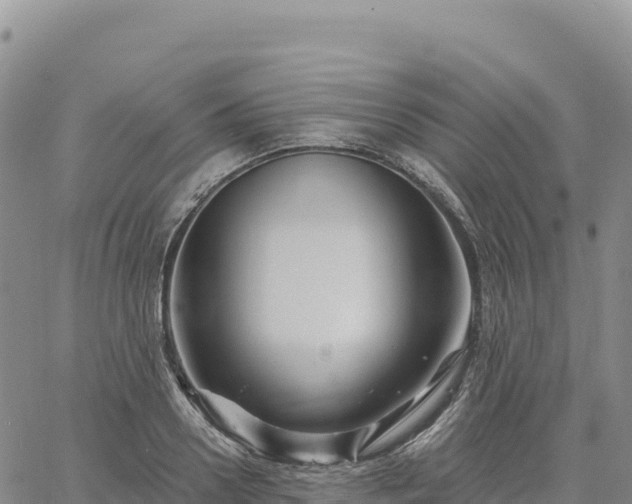 X0000061750938200512091632