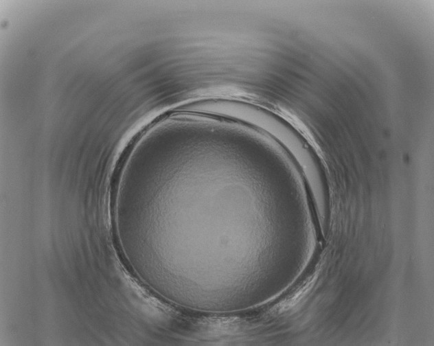 X0000061750939200512091632