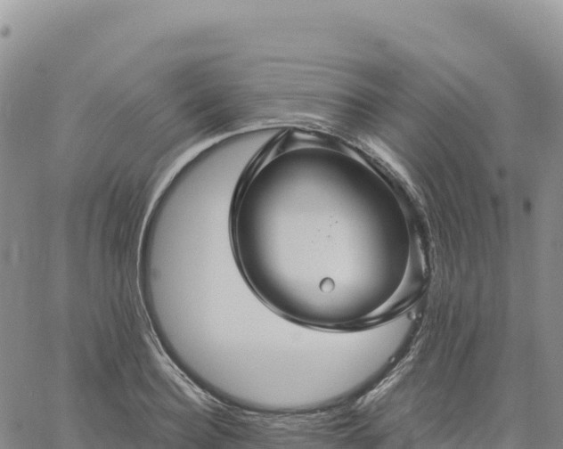 X0000061750940200512091632