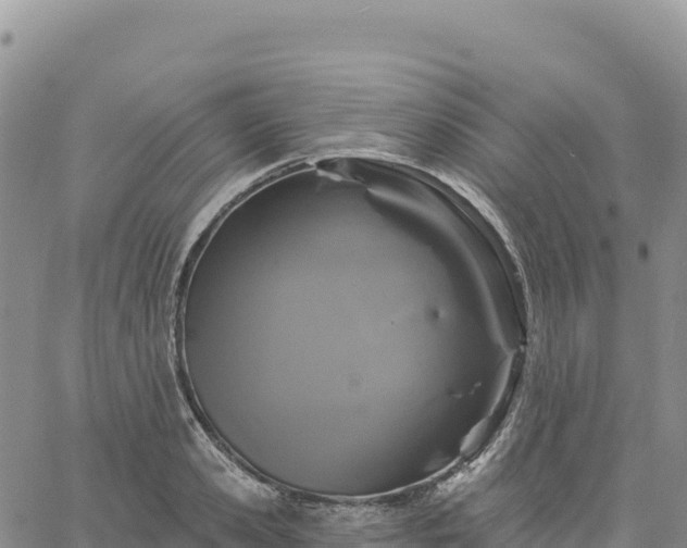 X0000061750941200512091632