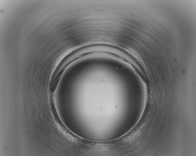 X0000061750942200512091632