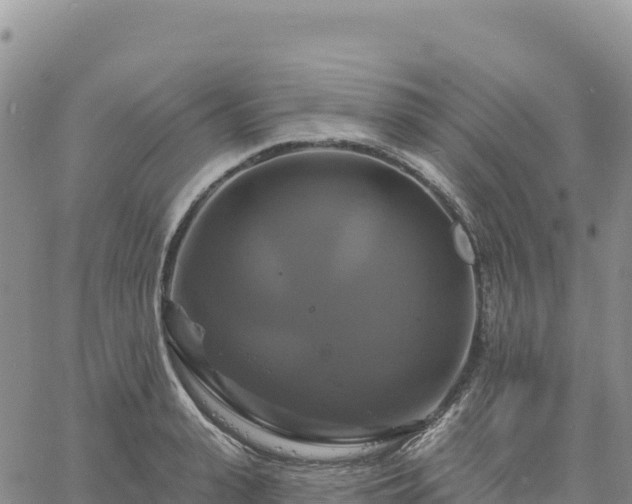 X0000061750943200512091632