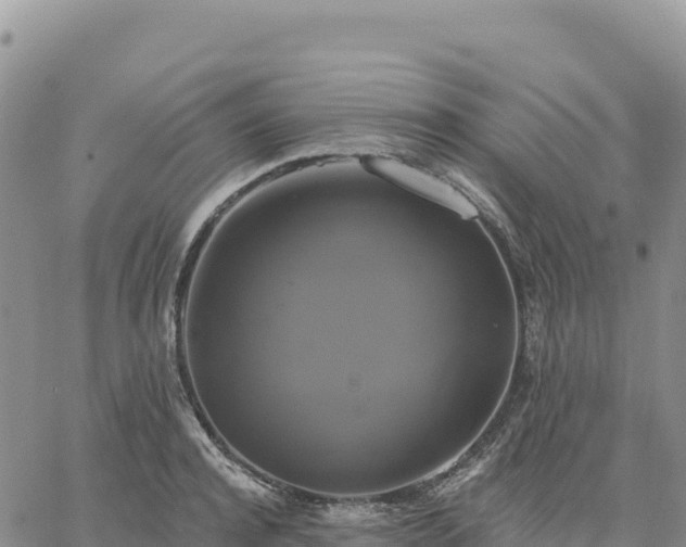 X0000061750944200512091632