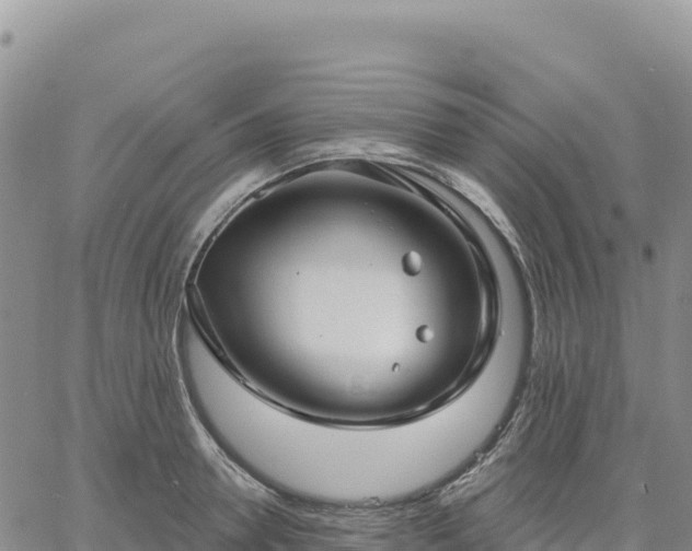 X0000061750946200512091632