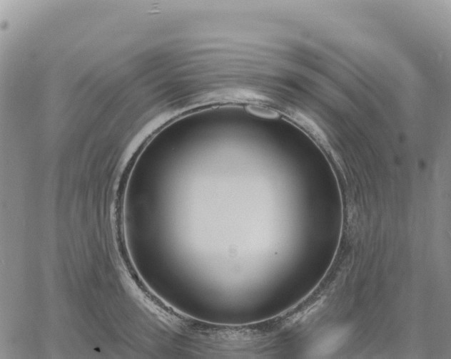 X0000061750947200512091632