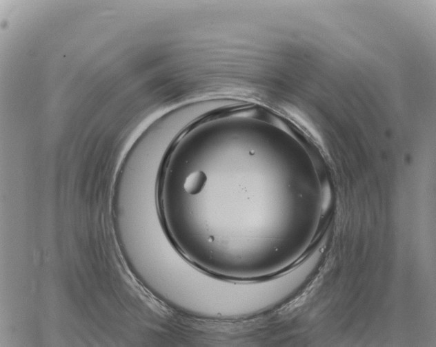 X0000061750948200512091632