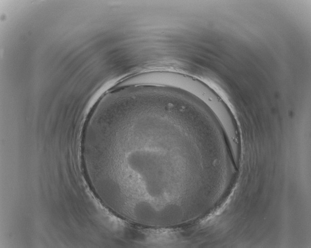 X0000061750949200512091632