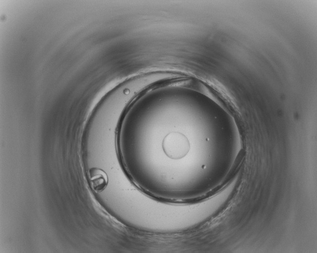 X0000061750950200512091632