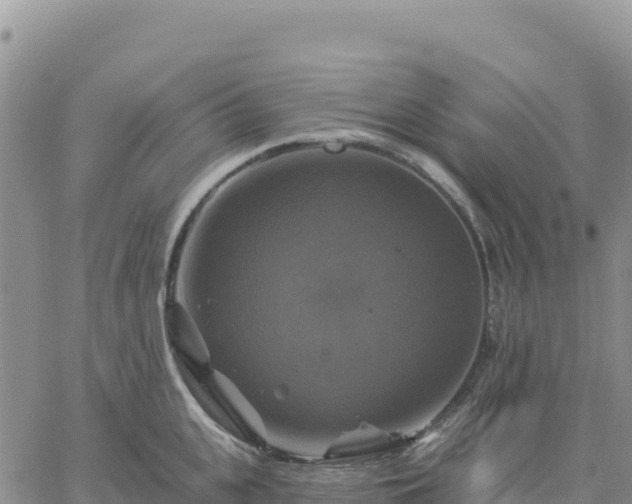 X0000061750951200512091632