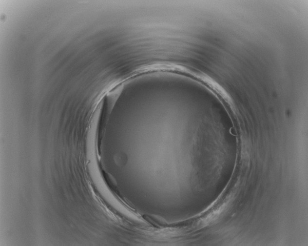 X0000061750953200512091632